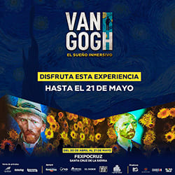 VAN GOGH